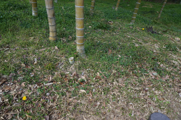 f:id:gzutetsu:20140308121857j:image f:id:gzutetsu:20140308121857j:image