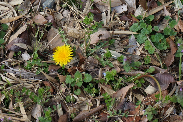f:id:gzutetsu:20140308121902j:image f:id:gzutetsu:20140308121902j:image