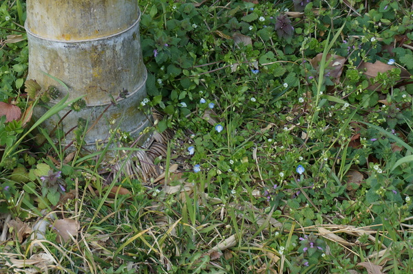 f:id:gzutetsu:20140308121908j:image f:id:gzutetsu:20140308121908j:image