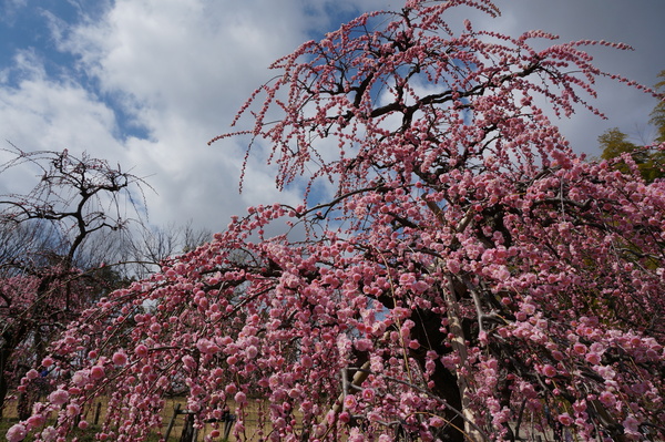 f:id:gzutetsu:20140308123342j:image f:id:gzutetsu:20140308123342j:image