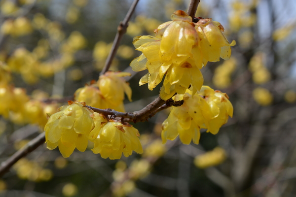 f:id:gzutetsu:20140308124318j:image f:id:gzutetsu:20140308124318j:image