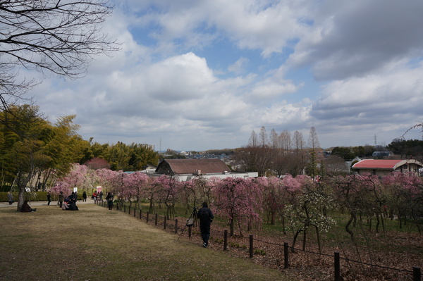 f:id:gzutetsu:20140308124433j:image f:id:gzutetsu:20140308124433j:image