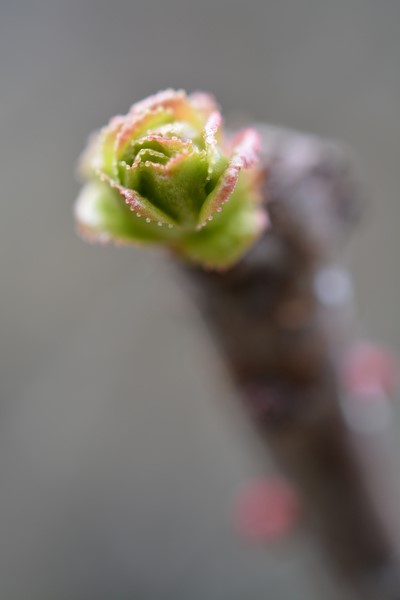 f:id:gzutetsu:20140308125209j:image f:id:gzutetsu:20140308125209j:image