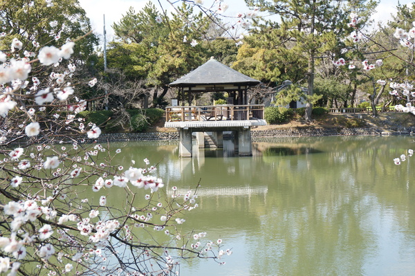 f:id:gzutetsu:20140315103642j:image
