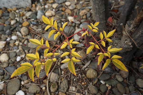 f:id:gzutetsu:20140316132245j:image