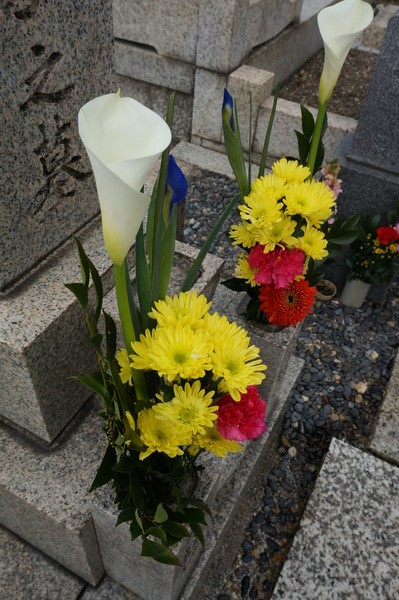 f:id:gzutetsu:20140316134120j:image