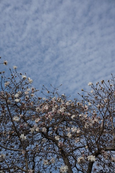 f:id:gzutetsu:20140319150921j:image