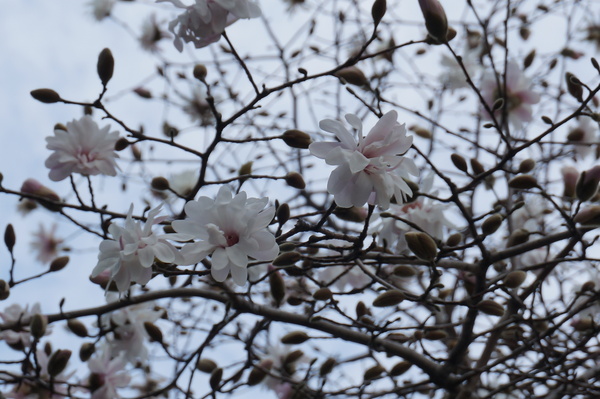 f:id:gzutetsu:20140319151028j:image