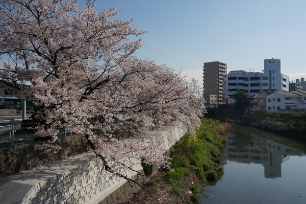 f:id:gzutetsu:20140403081449j:image