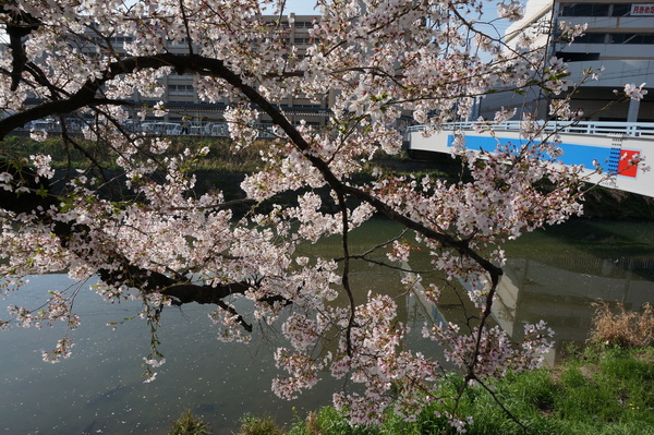 f:id:gzutetsu:20140403081522j:image