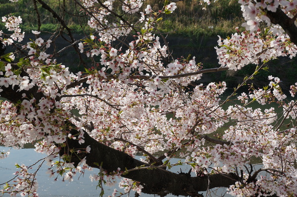 f:id:gzutetsu:20140403081536j:image
