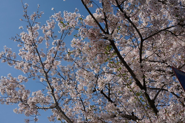 f:id:gzutetsu:20140403081557j:image