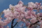 20140403101226