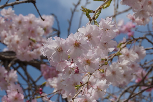 f:id:gzutetsu:20140403101301j:image