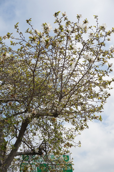 f:id:gzutetsu:20140403101421j:image