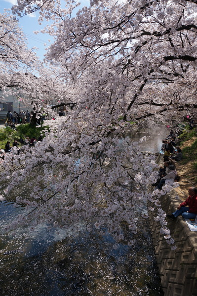 f:id:gzutetsu:20140405115037j:image
