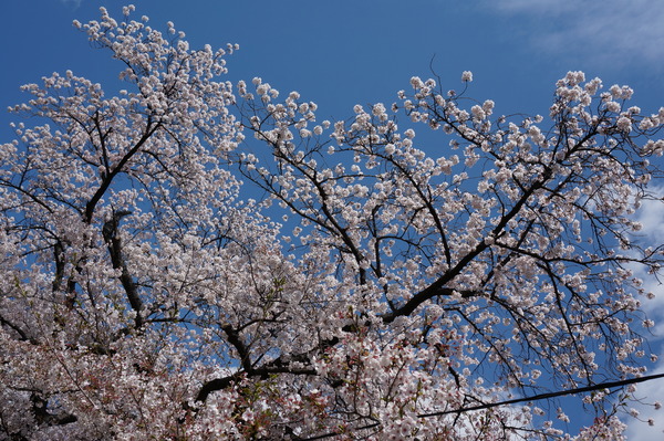 f:id:gzutetsu:20140405115533j:image