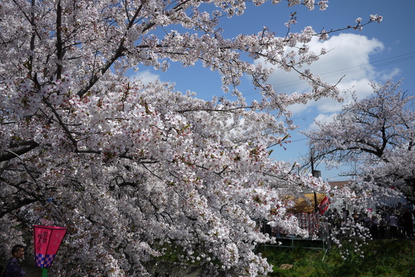 f:id:gzutetsu:20140405121041j:image