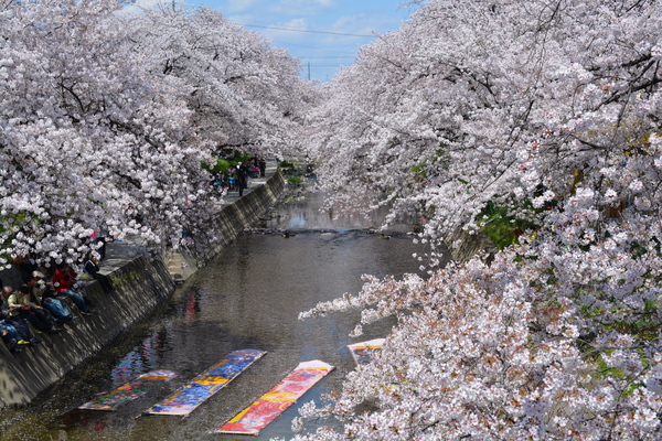 f:id:gzutetsu:20140405121958j:image