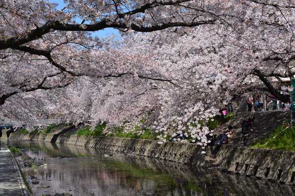 f:id:gzutetsu:20140405122608j:image