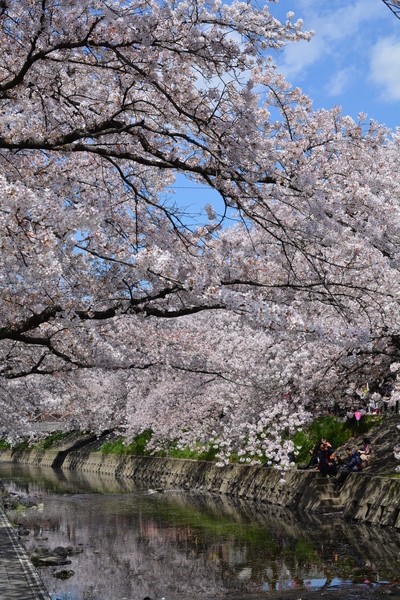 f:id:gzutetsu:20140405122708j:image