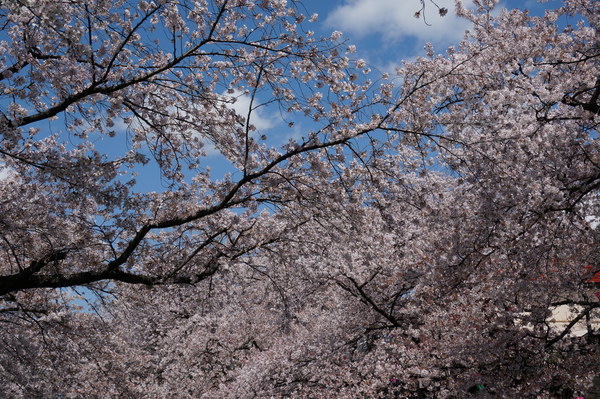 f:id:gzutetsu:20140405122800j:image