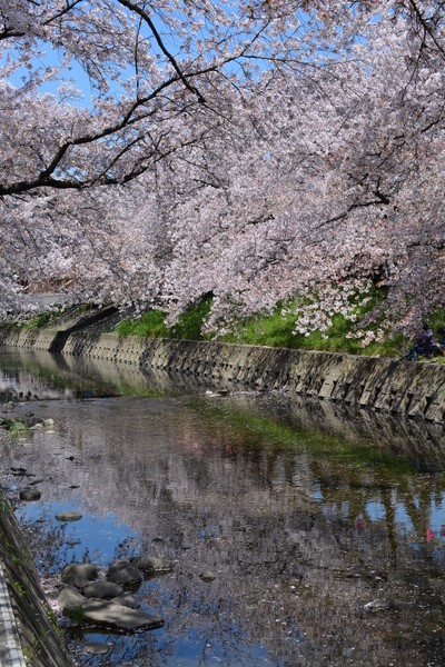 f:id:gzutetsu:20140405122813j:image