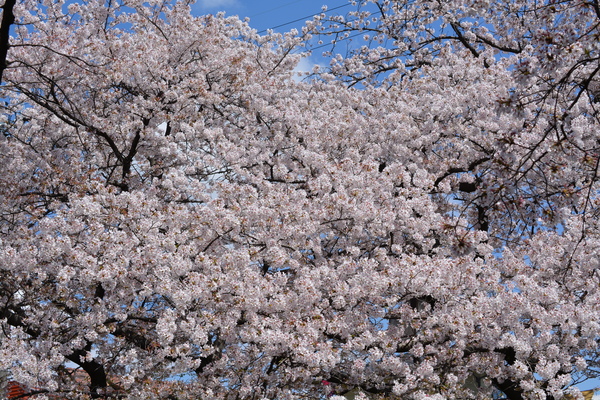 f:id:gzutetsu:20140405122911j:image