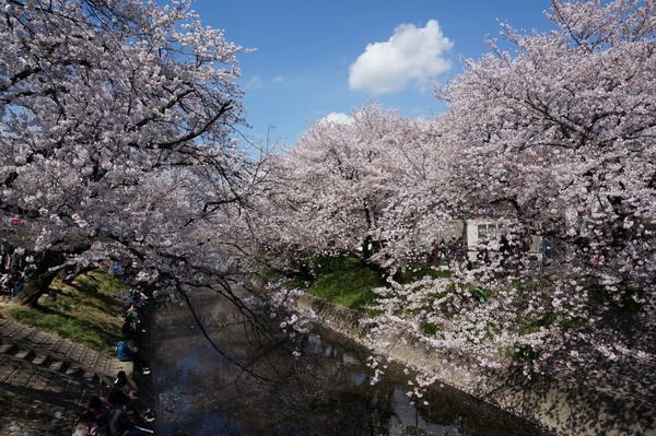 f:id:gzutetsu:20140405133507j:image
