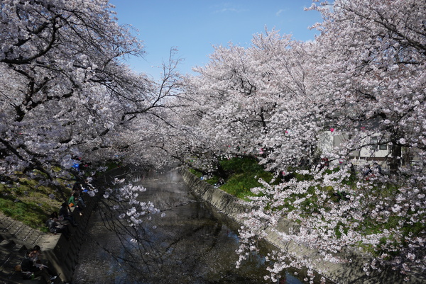 f:id:gzutetsu:20140405133535j:image