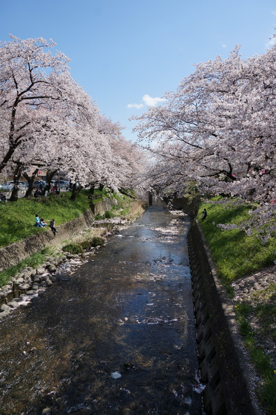 f:id:gzutetsu:20140405133550j:image