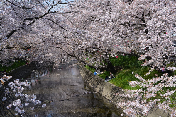 f:id:gzutetsu:20140405133837j:image