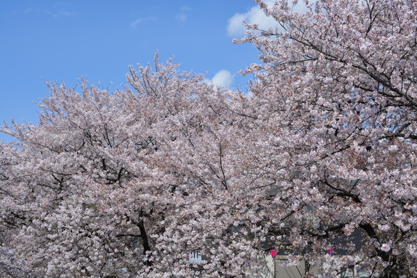 f:id:gzutetsu:20140405133906j:image
