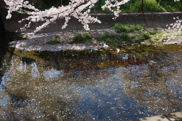 f:id:gzutetsu:20140405140645j:image