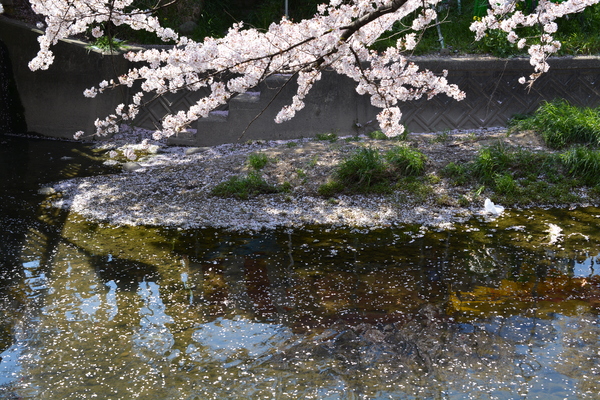 f:id:gzutetsu:20140405140806j:image