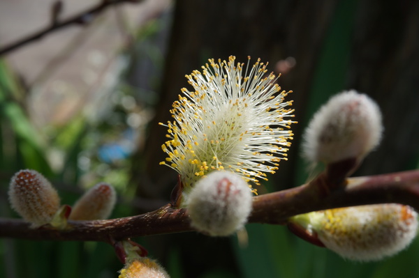 f:id:gzutetsu:20140411131831j:image