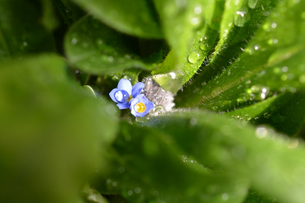 f:id:gzutetsu:20140413092736j:image