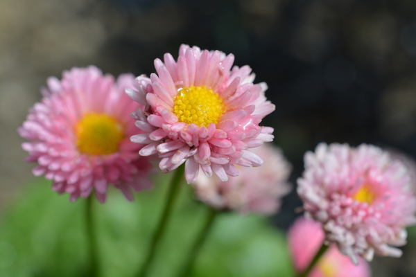 f:id:gzutetsu:20140413092928j:image
