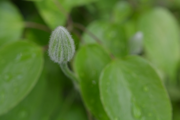 f:id:gzutetsu:20140413093937j:image