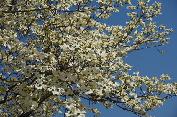 f:id:gzutetsu:20140414101115j:image