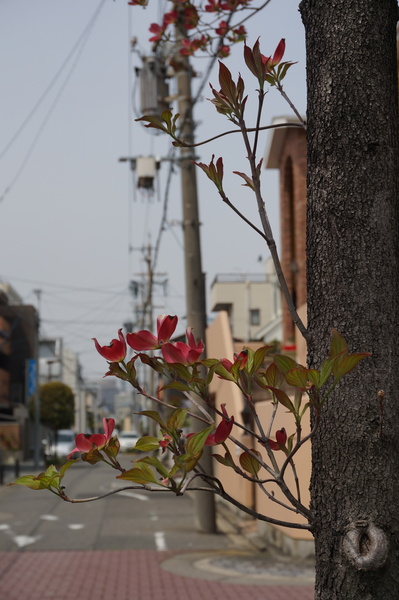 f:id:gzutetsu:20140416105747j:image