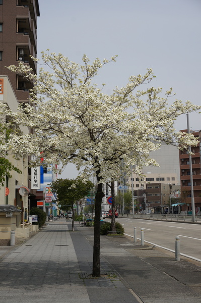 f:id:gzutetsu:20140416110305j:image