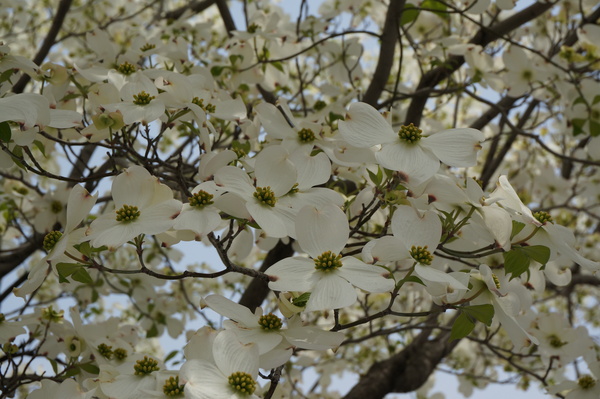 f:id:gzutetsu:20140416110330j:image