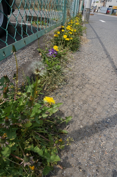 f:id:gzutetsu:20140416110529j:image