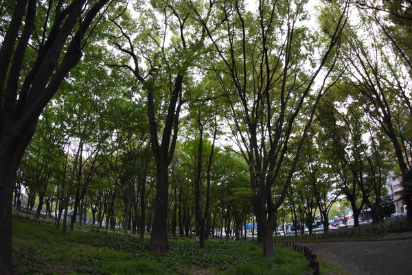 f:id:gzutetsu:20140419152933j:image