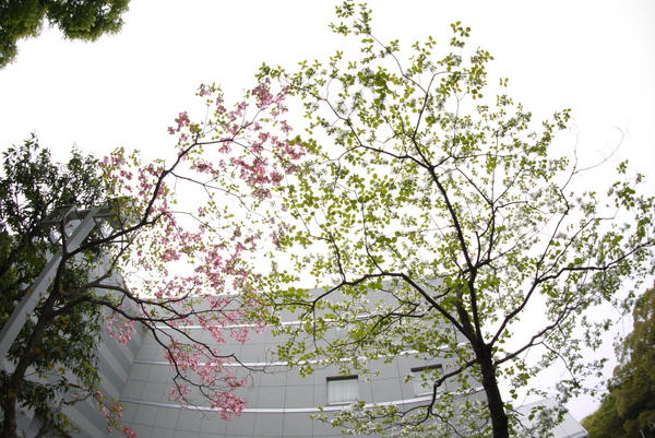 f:id:gzutetsu:20140419154152j:image