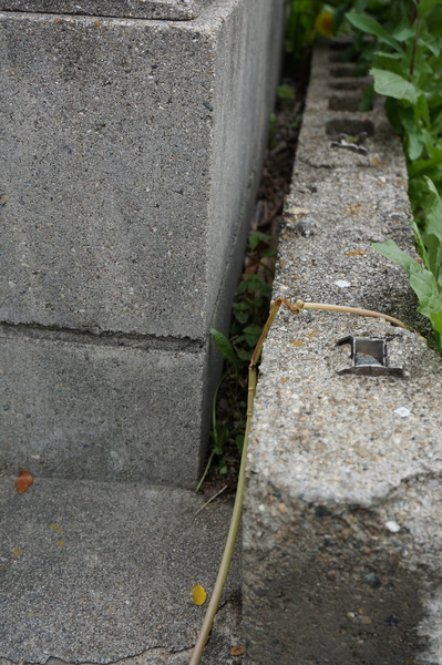 f:id:gzutetsu:20140422135124j:image