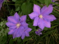 20140501061100
