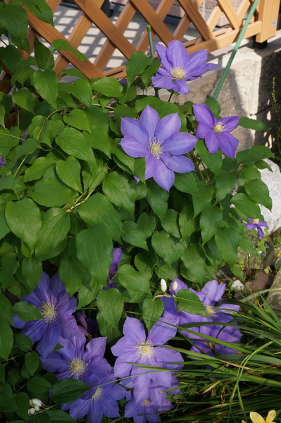 f:id:gzutetsu:20140503083640j:image