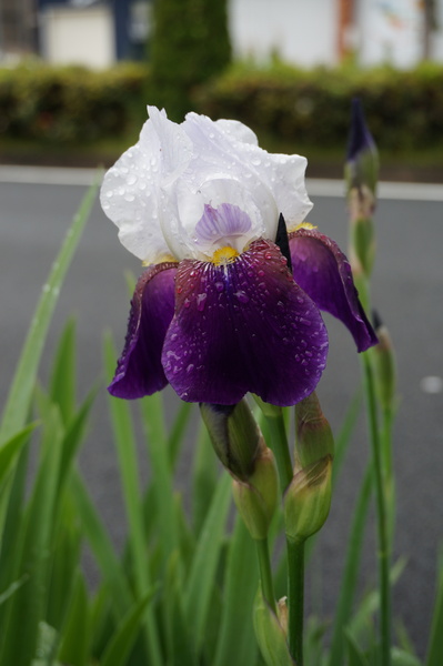 f:id:gzutetsu:20140505145750j:image